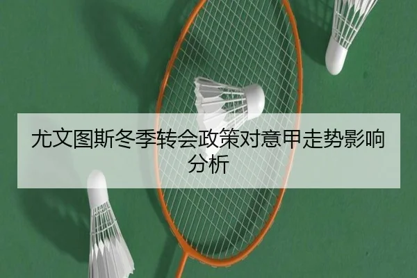 尤文图斯冬季转会政策对意甲走势影响分析